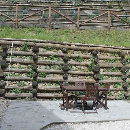 Вілла Via Del Barsantino 18 Лукка Екстер'єр фото